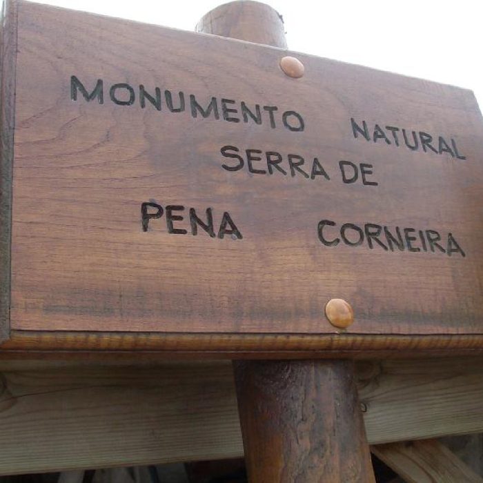Cartel de señalización de castaño
